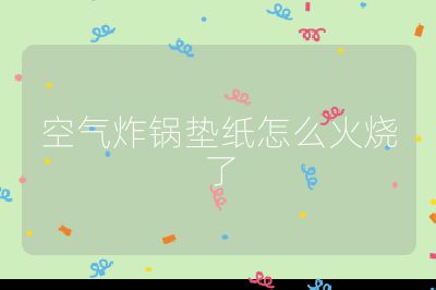 空氣炸鍋墊紙怎么火燒了