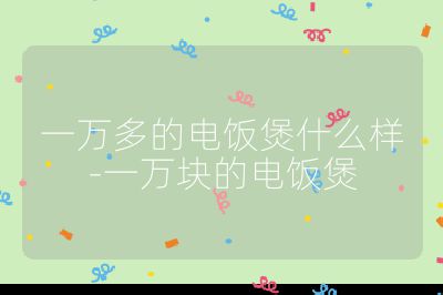 一萬多的電飯煲什么樣-一萬塊的電飯煲