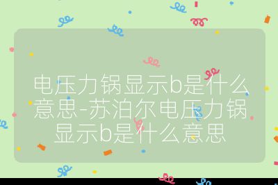 電壓力鍋顯示b是什么意思-蘇泊爾電壓力鍋顯示b是什么意思