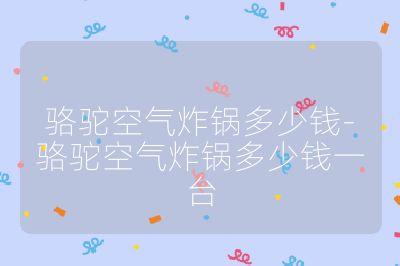 駱駝空氣炸鍋多少錢-駱駝空氣炸鍋多少錢一臺