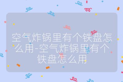空氣炸鍋里有個鐵盤怎么用-空氣炸鍋里有個鐵盤怎么用