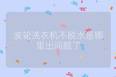 波輪洗衣機不脫水是哪里出問題了