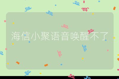 海信小聚語音喚醒不了