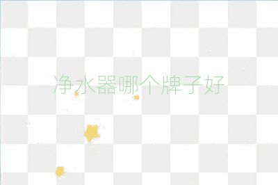 凈水器哪個(gè)牌子好