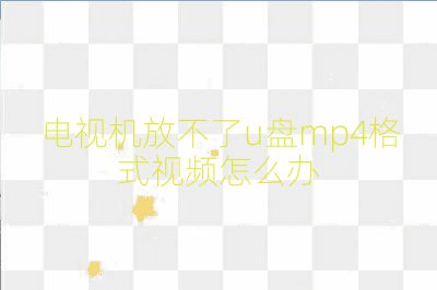 電視機放不了u盤mp4格式視頻怎么辦
