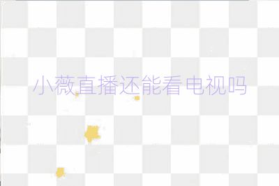 小薇直播還能看電視嗎
