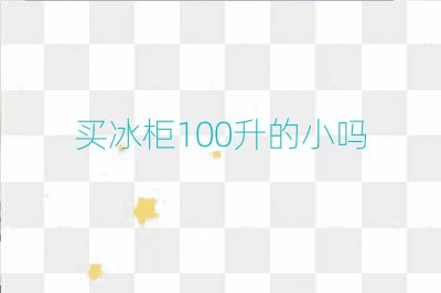 買冰柜100升的小嗎