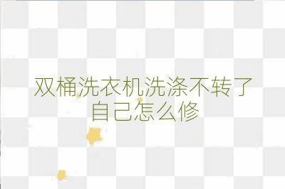雙桶洗衣機(jī)洗滌不轉(zhuǎn)了自己怎么修
