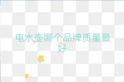 電水壺哪個品牌質量最好